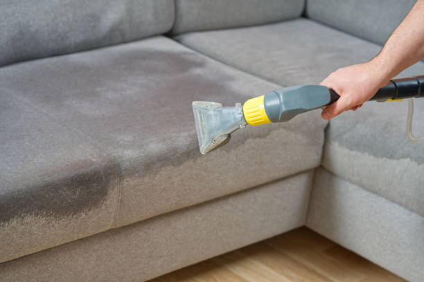 Limpieza de Tapicerías en 2025: Soluciones Ecológicas y Tecnológicas para tu Hogar