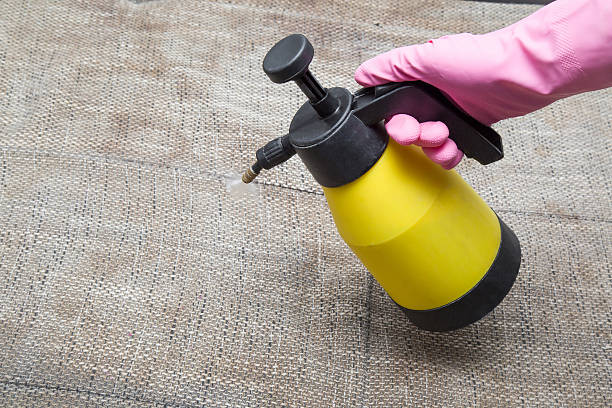 productos ecologicos para el tratamientos antiácaros