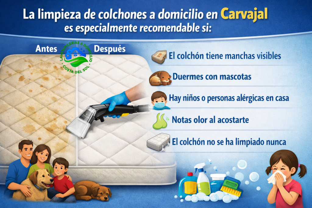 limpieza de colchones a domicilio en Carvajal